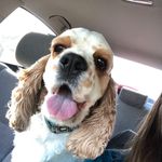 Jill Thorpe Kirchoff - @jillkirchoff - Instagram
