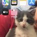 Jill Tibbetts - Facebook