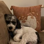 Jill Ogline Titus - @jilloglinetitus - Instagram
