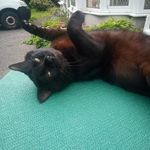 Jill Tracey - @jilljones66.jt - Instagram