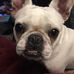 Jill Trudeau - Facebook