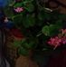 Jill Vanover - Facebook