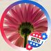 Jill VanOverbeke - Facebook