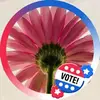 jillvanoverbeke - @jillvanoverbeke - TikTok