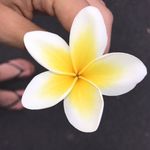 @jilllianvenable - Instagram