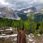 Jill Miller Weldon - @jweld78 - Instagram