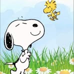 Jill Whaley - Facebook