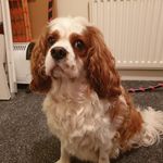 Jill Whitlock - @jill.whitlock.165 - Instagram