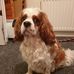 Jill Whitlock - Facebook