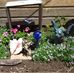 Jill Wilder - Facebook