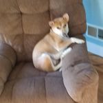 Jill Wilhelm - @wilhelm6059 - Instagram