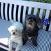 Jill Wright - Facebook