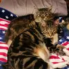 Jill Wright - @jill.wright1 - TikTok