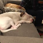 Jill Yeager Luzzi - @jyluzzi - Instagram