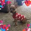 Jill Yeoman - @user442393442 - TikTok