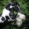Jill Johnston Yoder - @jilljohnstonyoder - TikTok