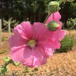 Jill Yoder - @yodersix - Instagram