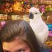 Jillian Ahearn - Facebook