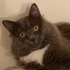 Jill - @jillian_allen - TikTok