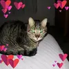 Jillian Allen - @jillianallen48 - TikTok