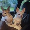 roxyanthony - @jilliananthony1 - TikTok