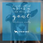 Jillian Beam - @electricgoatsoap - Instagram