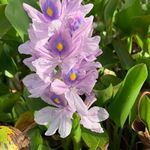Jillian Beames - @beamesjillian - Instagram