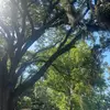 jillian🪼 - @jillian..beard - TikTok