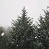 Jill Bollinger - @jillbollinger76 - TikTok