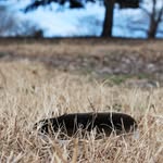 Jillian Boring - @jillyphotography4 - Instagram