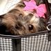 Jill Stewart Bradshaw - Facebook