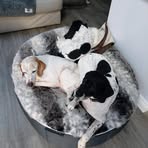 Jill Bremner - Facebook