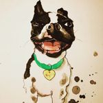 Jillian Burton - @jillianpaintspets - Instagram