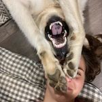 Jillian Cameron - @jillofthewild - Instagram