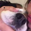 JillianCarsontmI - @jilliancarsontmi - TikTok