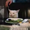 JillianCisnerosxdJVRk - @jilliancisnerosxd - TikTok