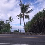 Jillian Collier - @kuleana_gifts_llc - Instagram
