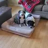 Jillian Connerty-Henley - @jillian.connertyh - TikTok