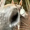 Jillian.Cook<3 - @jillian.cook_04 - TikTok