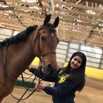 Jillian Crocker - @jc_horses_ - Instagram
