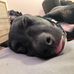 Jillian Crum - Facebook