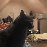 Jillian Franks - @ame.596 - Instagram