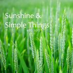 Jillian Garrett - @sunshinesimplethings - Instagram