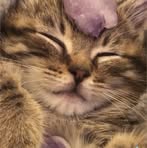 Jaelyn Searcy Hammack - Facebook