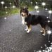 Jill Heaton - Facebook