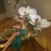 Jillian Holliday Montgomery - Facebook