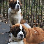 Gillian Hutton - @gillian.hutton.12 - Instagram