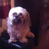 Jill Jacques - @jill.jacques - TikTok