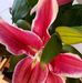 Jillian Keith - Facebook