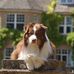 Jill Knott - Facebook
